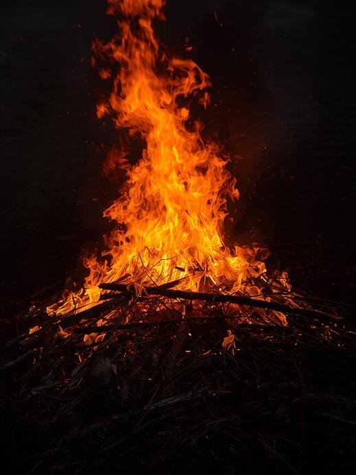 Post Fire Recovery